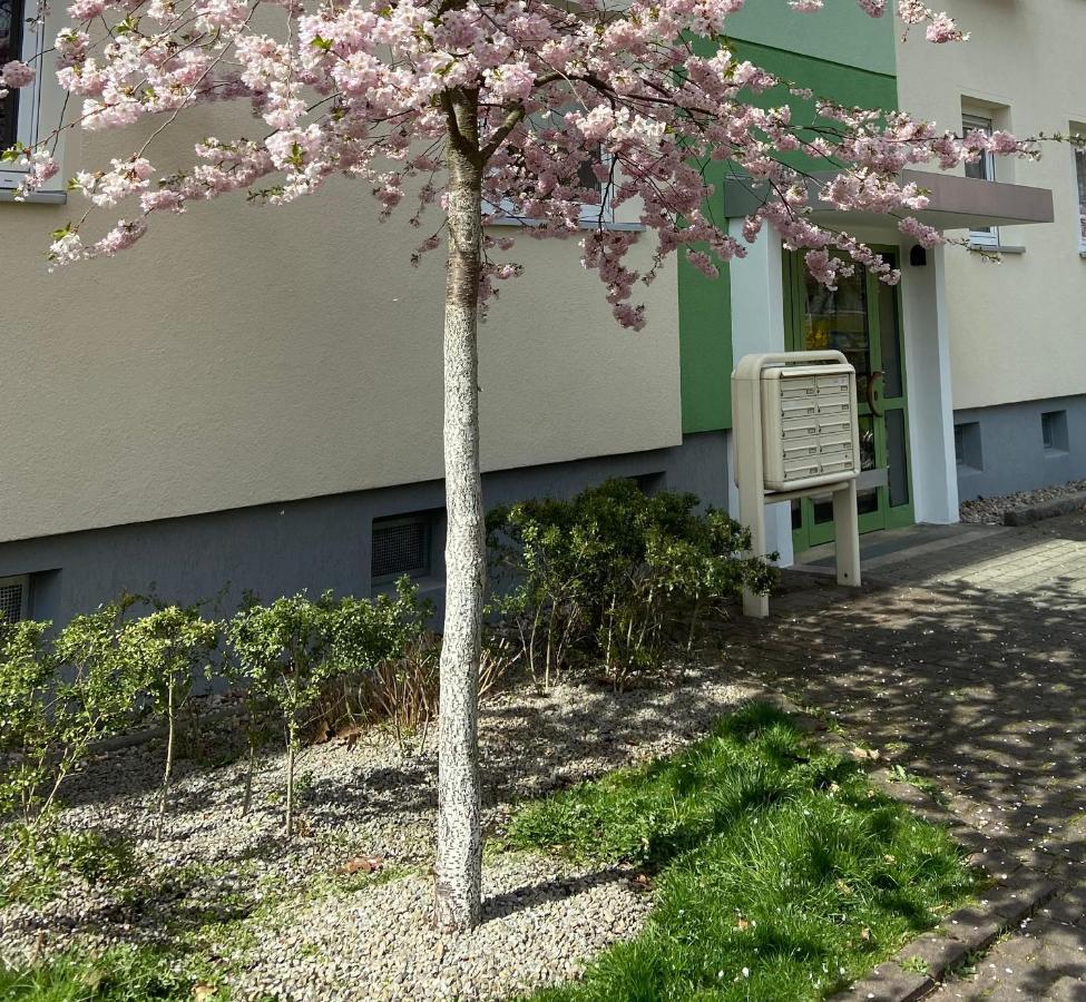 Schoene Kleine Wohnung คอตต์บุส ภายนอก รูปภาพ